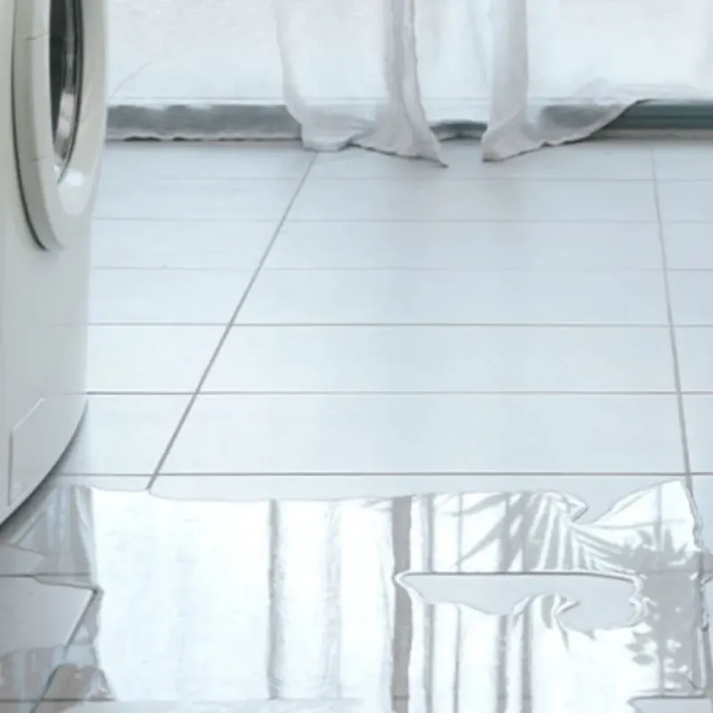 Appliance Leak Cleanup in Graham, TX