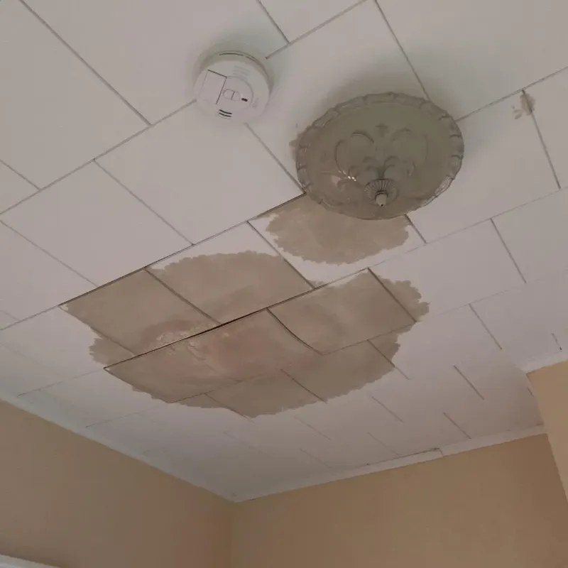 Ceiling Water Damage Repair in Graham, TX