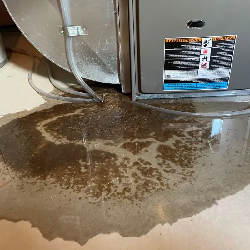 Pipe Burst and Leak Restoration in Graham, TX